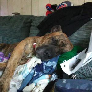 Meet your Posher, Christine